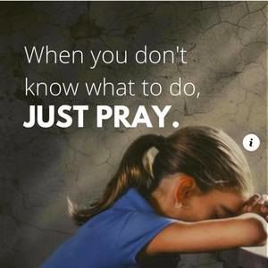 Meet your Posher, Deb